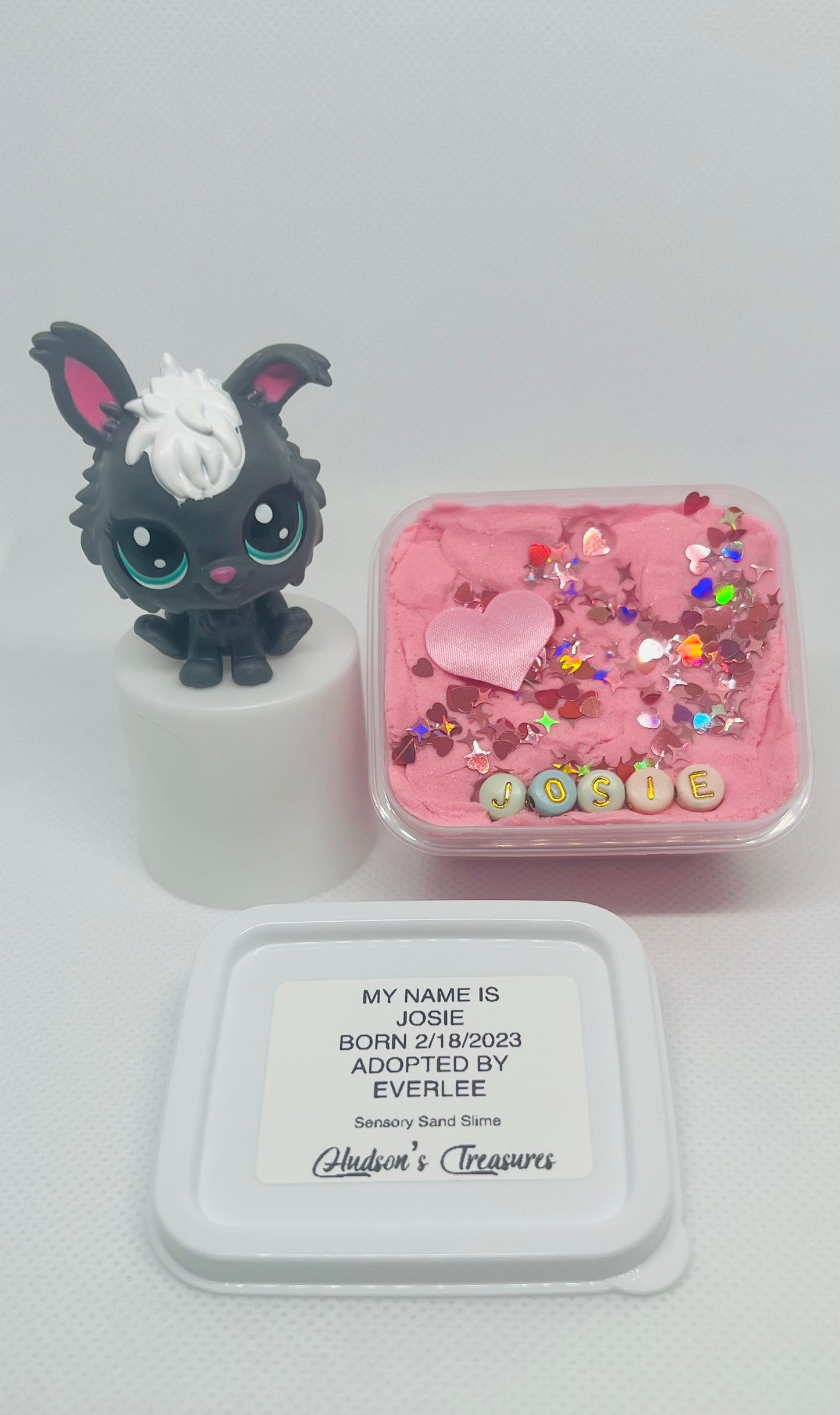 Adopt A Pet Sand Slime