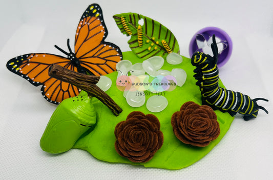 Life of a Butterfly Kit